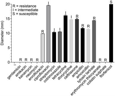 Phenylalanine-arginine β-naphthylamide could enhance neomycin-sensitivity on Riemerella anatipestifer in vitro and in vivo